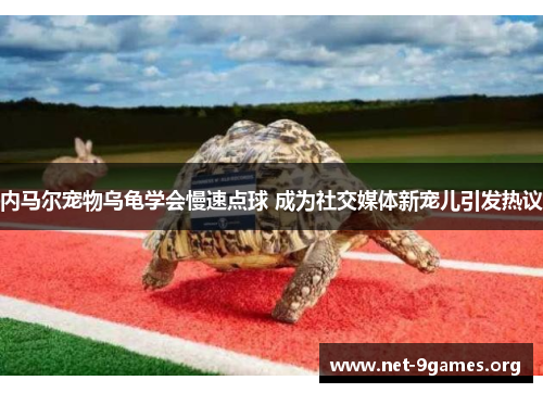 内马尔宠物乌龟学会慢速点球 成为社交媒体新宠儿引发热议 内马尔宠物乌龟学会慢速点球 成为社交媒体新宠儿引发热议