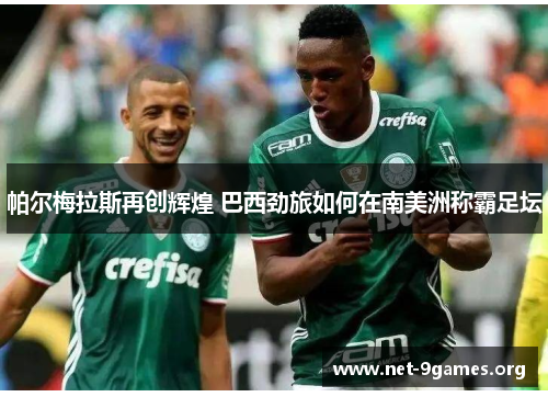 帕尔梅拉斯再创辉煌 巴西劲旅如何在南美洲称霸足坛 帕尔梅拉斯再创辉煌 巴西劲旅如何在南美洲称霸足坛