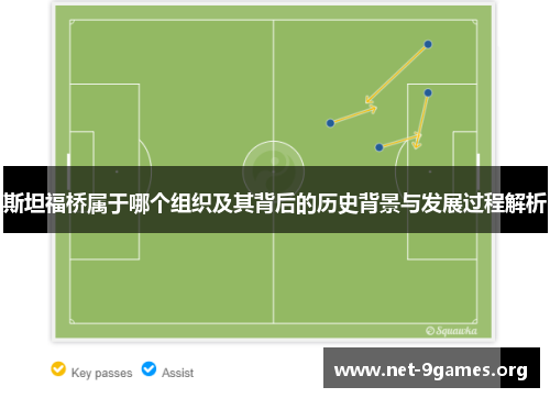 斯坦福桥属于哪个组织及其背后的历史背景与发展过程解析 斯坦福桥属于哪个组织及其背后的历史背景与发展过程解析