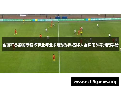 全面汇总葡萄牙各级职业与业余足球球队名称大全实用参考指南手册 全面汇总葡萄牙各级职业与业余足球球队名称大全实用参考指南手册